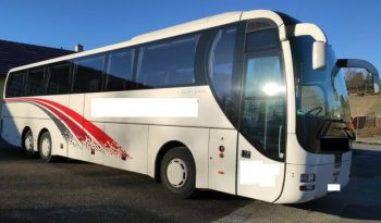 R 09 LIONS COACH voll