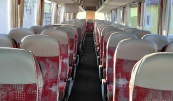 R 09 LIONS COACH voll