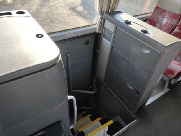 R 09 LIONS COACH voll