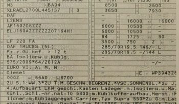 DAF LF 220 FA KÜHLKOFFER voll