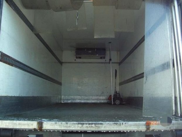 DAF LF 220 FA KÜHLKOFFER voll