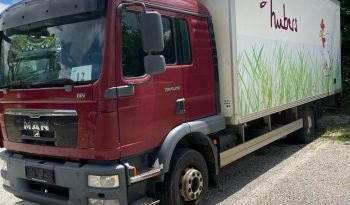 MAN TGM 15 290 KÜHLKOFFER voll