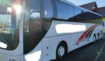 R 09 LIONS COACH voll