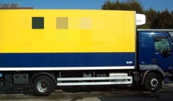 DAF LF 220 FA KÜHLKOFFER voll