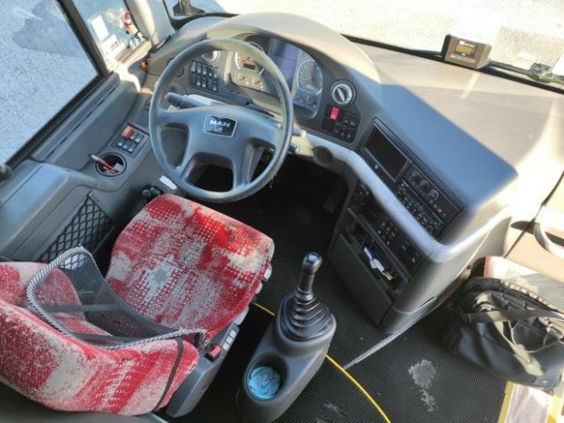 R 09 LIONS COACH voll